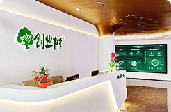 公司使命