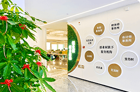 公司愿景